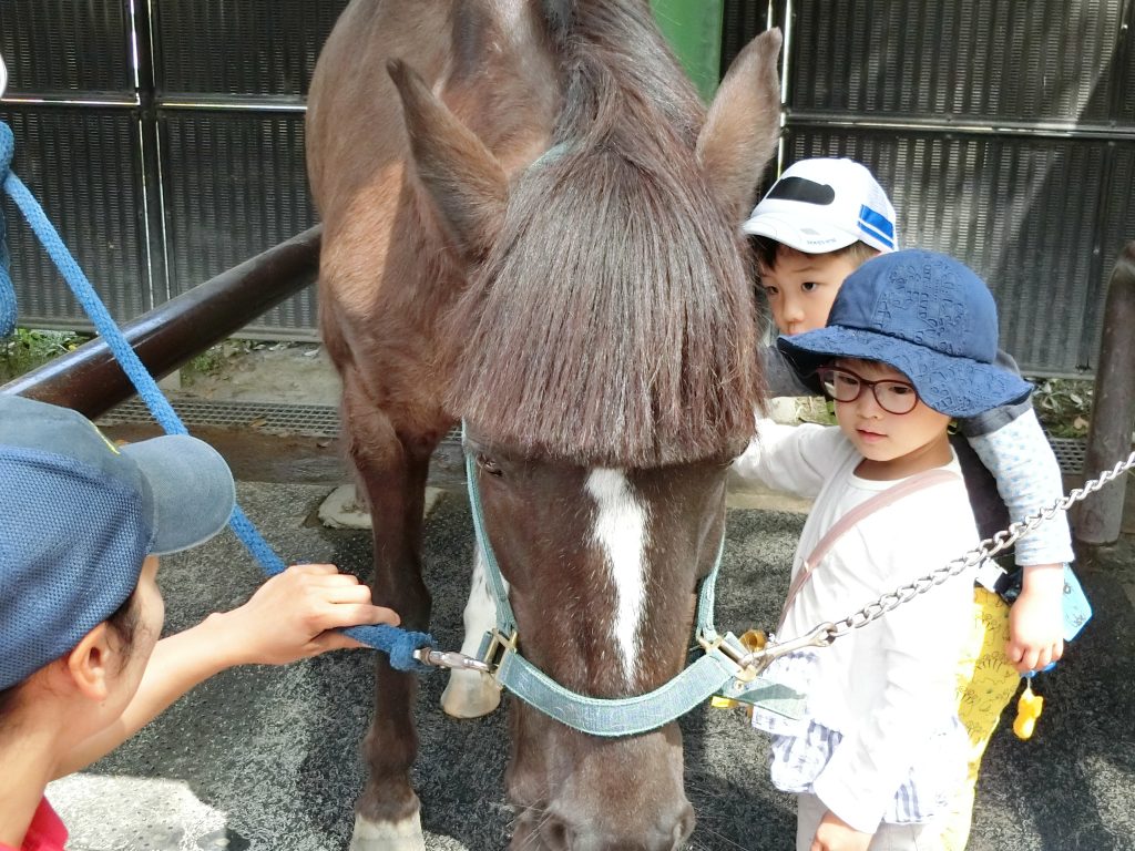 ポニー公園と明治神宮へ行きました 日本基督教団城西教会付属 城西幼稚園